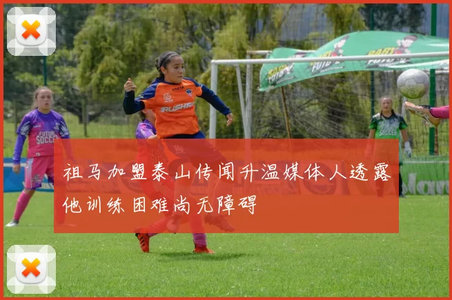 祖马加盟泰山传闻升温媒体人透露他训练困难尚无障碍